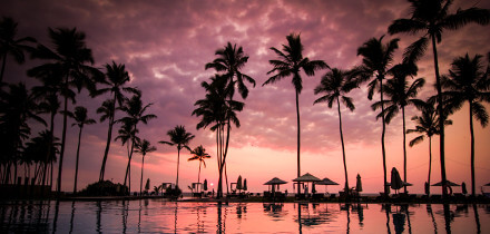 Yêu cầu thị thực cho người giữ hộ chiếu Vietnam đi đến Sri Lanka
